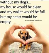 Image result for Cute Animal Quotes