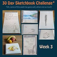 Image result for 30 Day Sketchbook Challenge