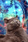 Image result for Goose Cat Space Galaxy