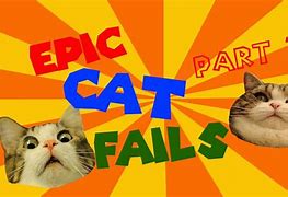 Image result for Epic Cat Meme