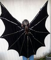 Image result for Scary Bat Wings