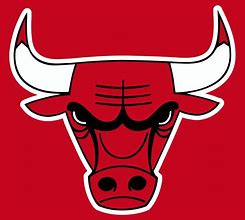 Image result for Chicago Bulls Logo Drawing