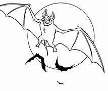 Image result for Printable Images of Bats