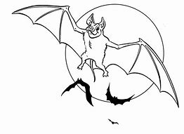 Image result for Bat Animal Coloring Page