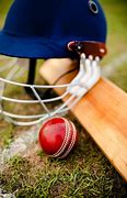 Image result for Cricket Ball HD