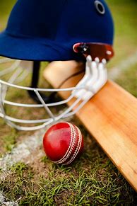 Image result for Cricket Plastic Ball Background