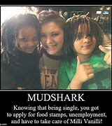 Image result for Mud Shark Meme
