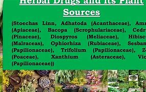 Image result for Plant Sources of Drugs