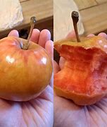 Image result for Kissabel Redf Flesh Apple