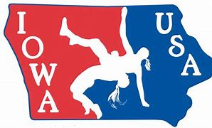 Image result for USA Wrestling Clip Art