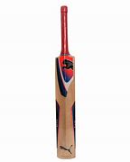 Image result for Puma Cricket Bats