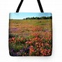 Image result for Texas Spring Wildflowers