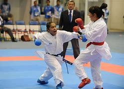 Image result for Who Made Karate