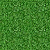 Image result for Dry Grass Texture Seamless