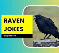 Image result for Raven Jokes