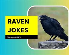 Image result for The Bird Ravens Jokes