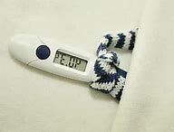 Image result for Unique Outdoor Thermometers