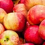Image result for Freeze Dried Apples
