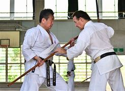 Image result for Karate Types of Martial Arts From Okinawa