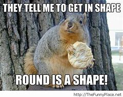 Image result for Funny Squirrel Exercise Memes