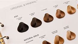 Image result for Organic and Mineral Hair Colour Chart