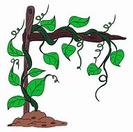 Image result for Curly Vines Drawing