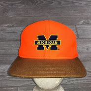 Image result for Grey Michigan Wolverines Hat