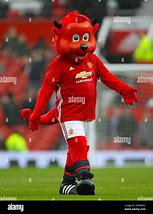 Image result for Man United Mascot