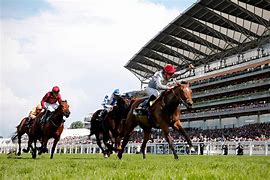 Image result for Racing at Ascot Today