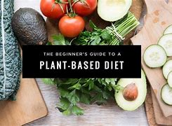 Image result for Plant-Based Diet Explained