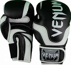 Image result for Venum Boxing Gloves