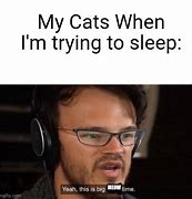 Image result for Big Brain Time Cat