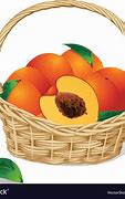 Image result for Clip Art Bushel of Peaches