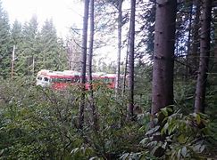 Image result for Case 570 with Forestry Mulcher