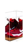 Image result for Shoe Cases for Jordan's