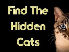 Image result for Hidden Cat