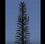 Image result for Cell Phone Tower Looks Like Tree