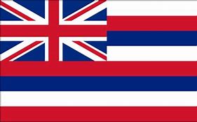 Image result for Hawaii Flag