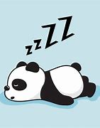 Image result for Cute Panda Sleeping