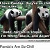 Image result for Funny Panda Memes Funny