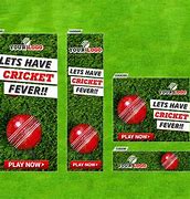 Image result for Cricket Theme Banner