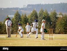 Image result for Cricket Self Play for Kids