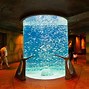 Image result for Atlantis UAE