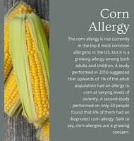 Image result for Corn Allergy Symptoms