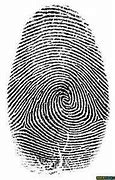 Image result for Fingerprint Overlay