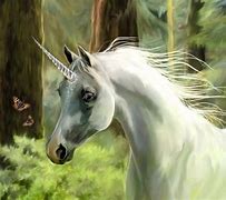 Image result for Information of Unicorn Horse
