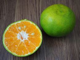 Image result for Green Colored Orange Fruit