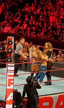 Image result for Mickie James Knockouts Champion