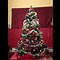 Image result for Green Christmas Tree with Red Lights