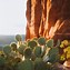 Image result for Most Epic Hikes in Sedona